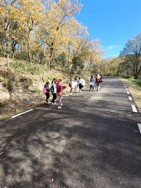 Ruta De Senderismos En San Pablo Ceip Inmaculada Concepci N Totan S