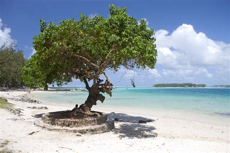 Mauritius Tourism Promotion Authority Reveals To The Saudi Travelers ...