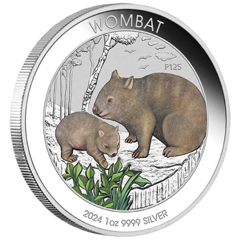 Australijski Wombat Kolorowany Uncja Srebra Metal Market Europe