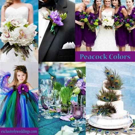 Peacock Wedding Colors - jenniemarieweddings