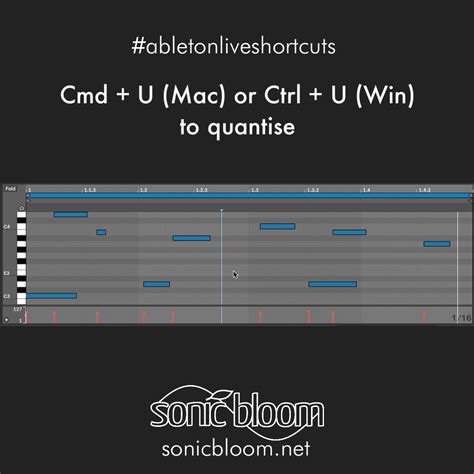 5 Essential Shortcuts For Your Ableton Live Workflow Sonic Bloom