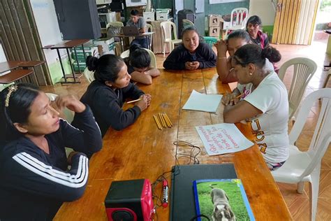 Los Centros De Acompa Amiento En Salud Mental Comunitaria De La Unad