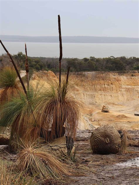 Save Western Port Woodlands - Ocean Literacy