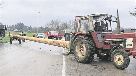 Höhenrain Schneise der Zerstörung bei Maibaumklau sorgt für Unmut