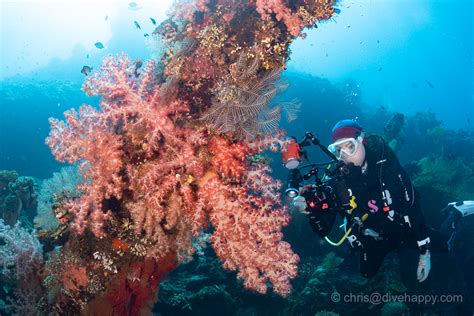 Diving The Usat Liberty Shipwreck Bali June Dive Happy