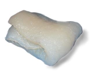 fish  seafood preparing seafood meals  dishes fish cuts