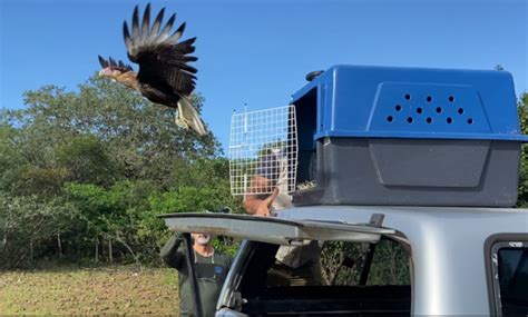 Semace publica Instrução Normativa sobre o Cadastramento de Áreas de