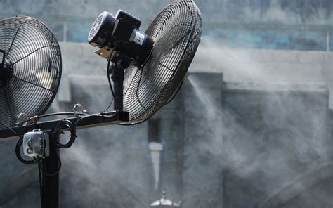 Everything You Should Know About Misting Fans