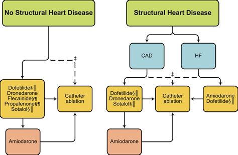 Atrial Fibrillation The Pharmacist S Survival Guide — Tl Dr Pharmacy