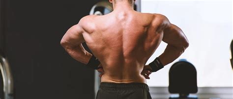 10 Best Middle Back Exercises (For Strength & Mass Routines)