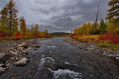 The Colours Of Autumn Are Cold Water Rivers Of Magadan Stock Image