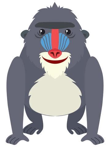 Baboon with happy face 302147 Vector Art at Vecteezy