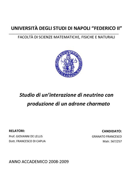 UNIVERSITÀ DEGLI STUDI DI NAPOLI FEDERICO II