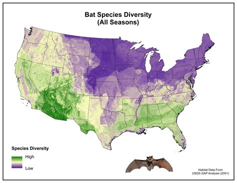 Bat species diversity in the U.S. (Based on Habitat Suitability Data
