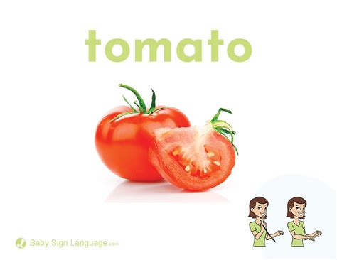 Tomato