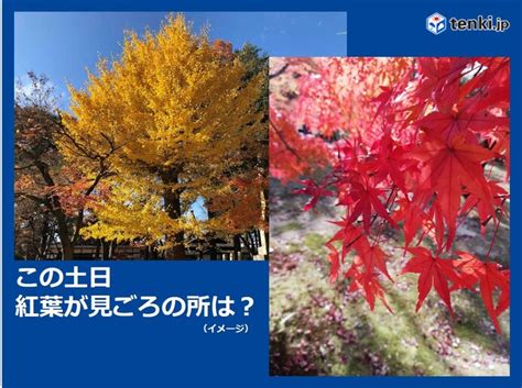 全国の天気 土日に紅葉が見ごろの所は 洋服選びの目安は ハロウィンも寒暖差に注意気象予報士 望月 圭子 2021年10月29日 日本