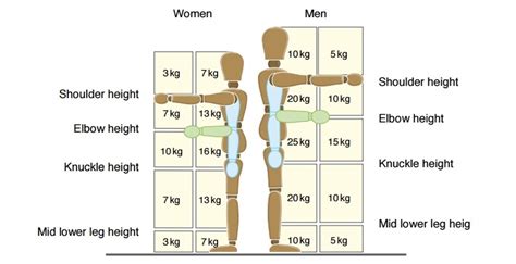 Serba Serbi Manual Handling Sejauh Mana Anda Memahaminya Safety