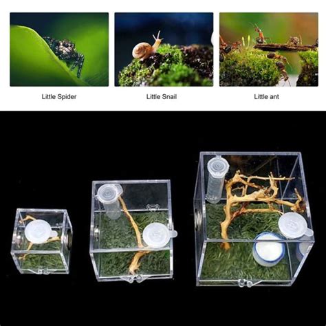 ANTHESIA for Spiders Small Insects Pet Supplies Spider Feeder Acrylic Insect Box Jumping Spider ...