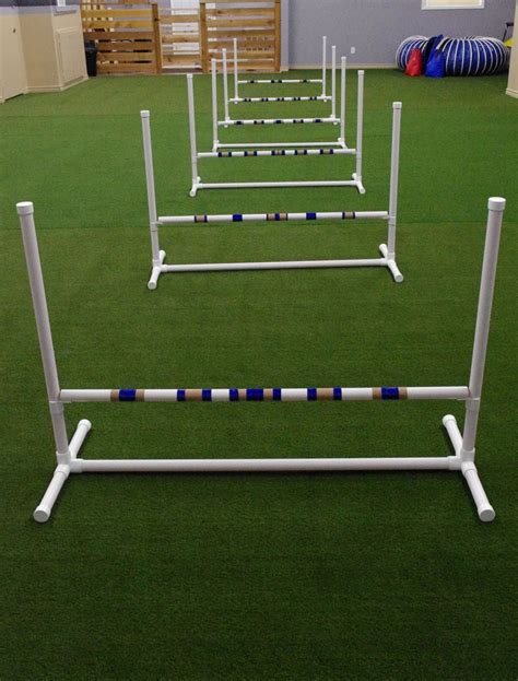 Dogs On Campus: New Agility Equipment