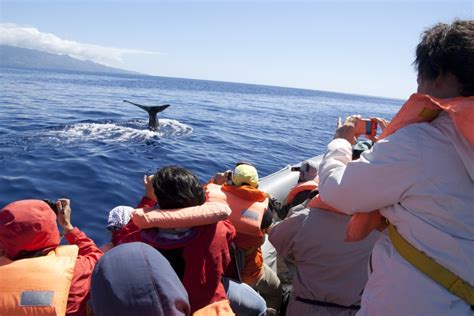 Best Time to Visit Azores (Climate Chart and Table)