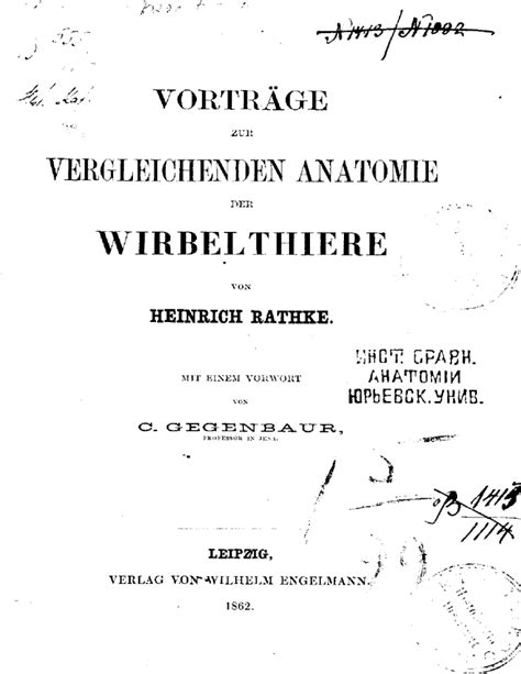 Vergleichenden Anatomie Wirbelthiere