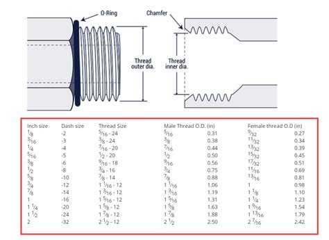 Hydraulic Fitting Size Chart Hydraxio China SS Hydraulic Fittings