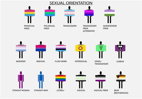 Lgtbiq Flags Different Groups Name Pride Day Sexual Orientation Stock Vector Image By