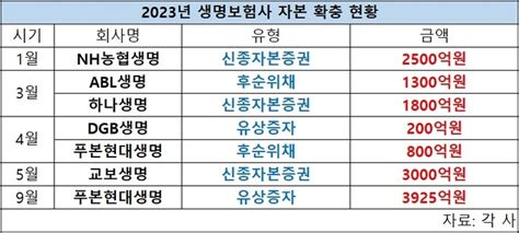 ‘빅3 교보생명도 자본 확충…생보사 K Ics 대응 총력 ‘빅3 교보생명도 자본 확충…생보사 K Ics 대응 총력