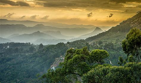 kerala landscape stock  pictures royalty  images