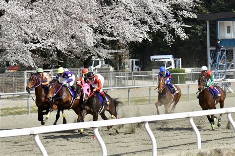 地方競馬教養センター On Twitter 【阿岸潤一朗騎手 北海優駿に騎乗】 今春第104期騎手課程を修了し、ホッカイドウ競馬でデビュー