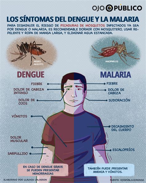 Alerta Sanitaria Dengue Y Malaria Se Incrementan En El Norte Y La