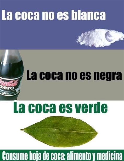 HOJA DE COCA NATURAL SECA EL MOLINO VERDE