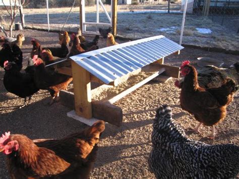 Zenbirder S Solar Heated Solar Powered Chicken Coop BackYard