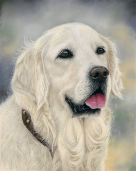 Dog portraits | Dog Portrait Artist | Sarahs Pet Portraits