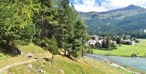 Wanderung Maloja Grevasalvas Sils Im Engadin Via Engiadina