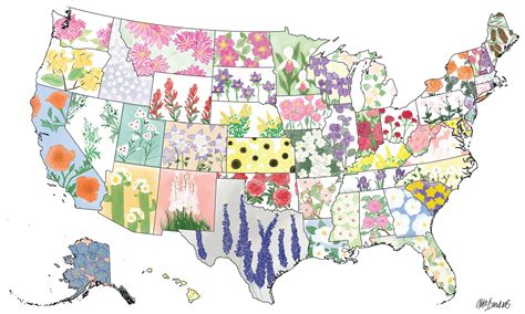 United States State Flower Map - Etsy 日本