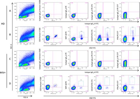 Multi Parameter Flow Cytometric Analysis Of The Functional Profile Of