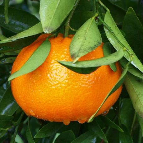 githubcom axppv linux kernel defence map