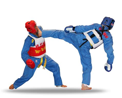 European Vovinam Viet Vo Dao Federation | Welcome to EVVF