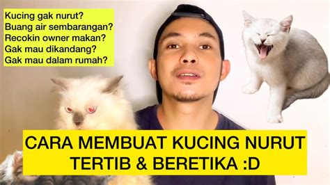 Cara Membuat Kucing Nurut Cara Membuat Kucing Tertib Tidak