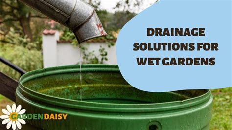 Drainage solutions for wet gardens | Garden Daisy