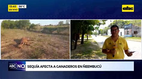 Sequía afecta a ganadero en Ñeembucú ABC Noticias ABC Color