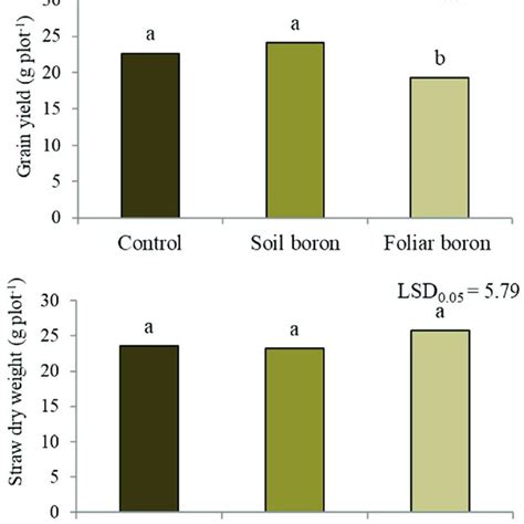 Grain Yield And Straw Dry Weight Of Sanpatong 1 Rice Variety Grown Download Scientific Diagram