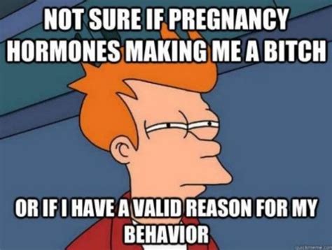 71 Funniest Pregnancy Memes On The Web Inspirationfeed