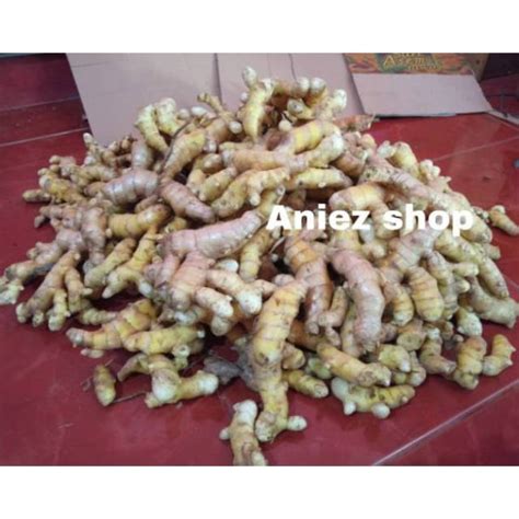 Jual KUNYIT PUTIH Segar Alami Curcuma Manggae 1 Kilo Gram Shopee