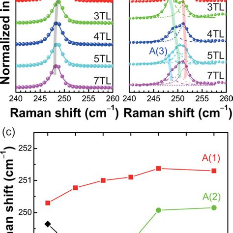 Circularly Polarized Raman Spectra Of A The E G Mode And B A G