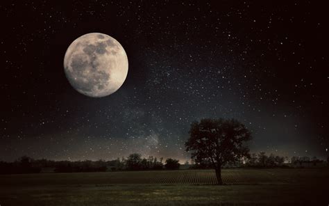 Moon, Trees, Field, Nature Wallpapers HD / Desktop and Mobile Backgrounds