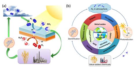 Solar Driven Nitrogen Fixation To Ammonia Lighting The Way Toward