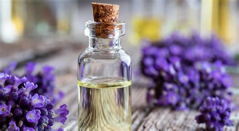 Belleza Beneficios De La Lavanda Para Tu Piel El Popular