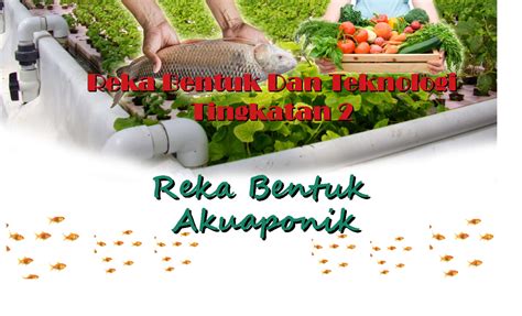 482094030 Aquaponik Pdf REKA BENTUK SISTEM AKUAPONIK STANDARD